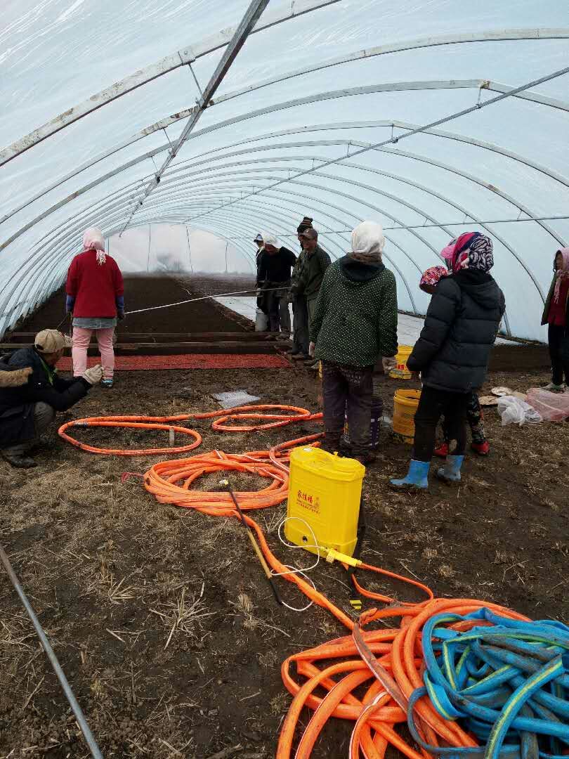 1491982734102407.jpg mmexport1491982363365.jpg